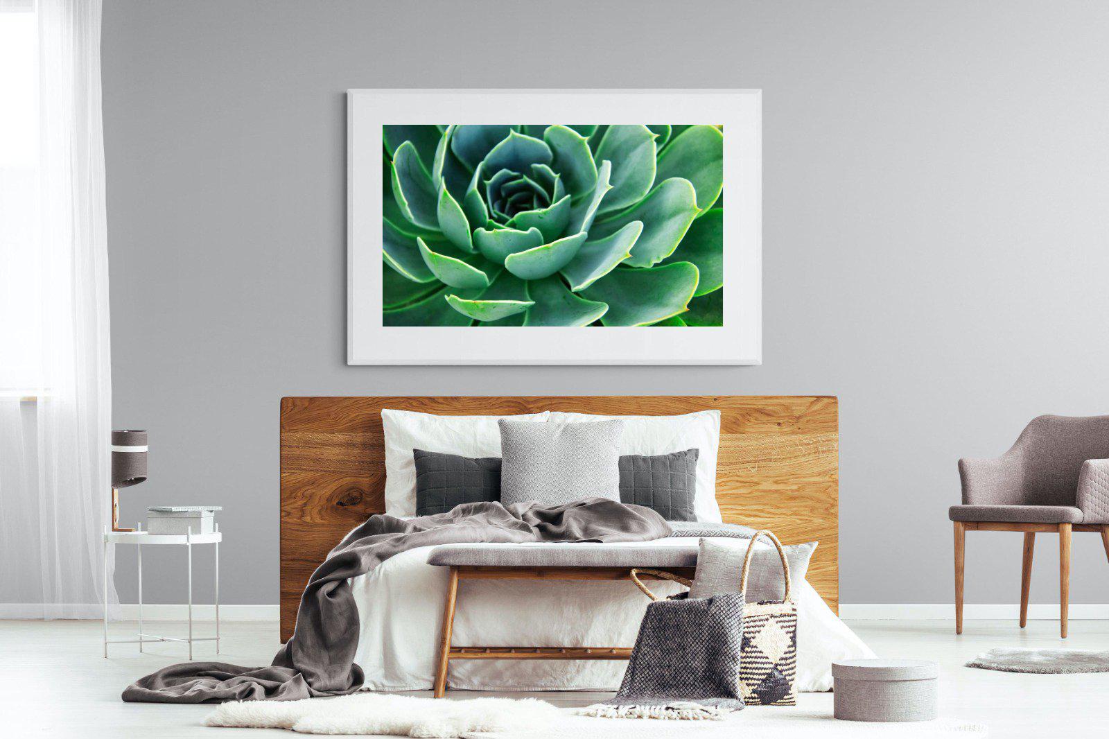 Echeveria Elegans-Wall_Art-150 x 100cm-Framed Print-White-Pixalot