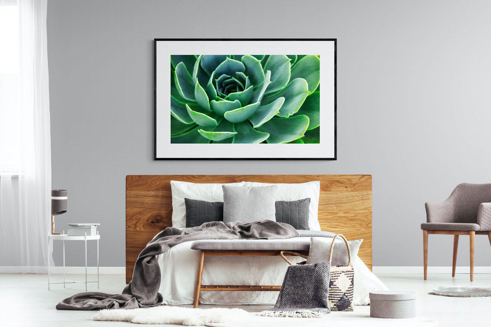 Echeveria Elegans-Wall_Art-150 x 100cm-Framed Print-Black-Pixalot