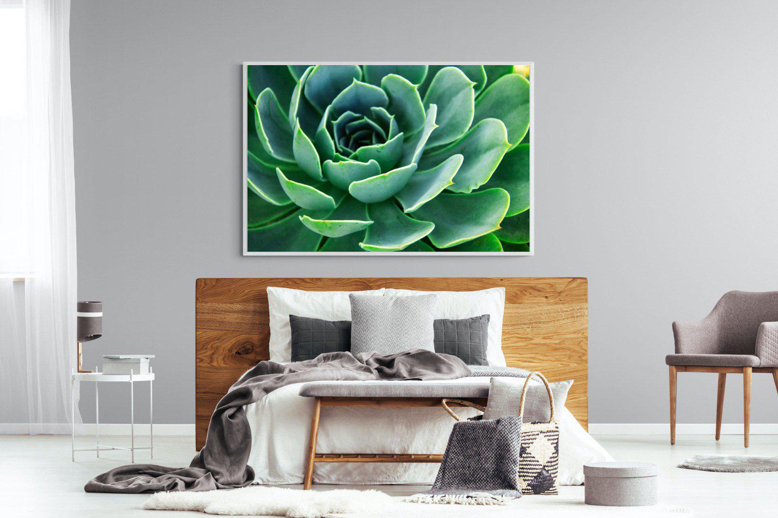 Echeveria Elegans-Wall_Art-150 x 100cm-Mounted Canvas-White-Pixalot