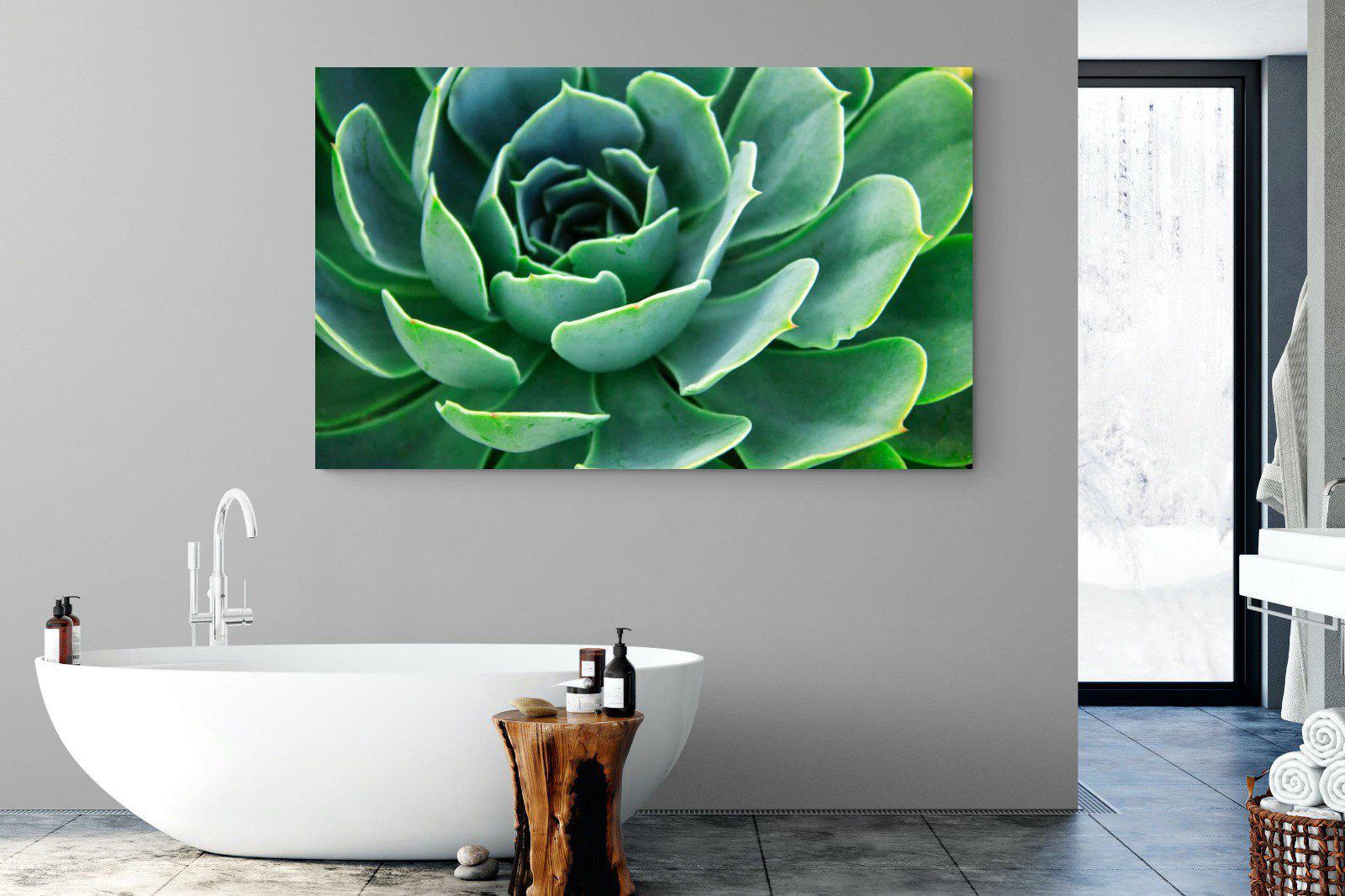 Echeveria Elegans-Wall_Art-180 x 110cm-Mounted Canvas-No Frame-Pixalot