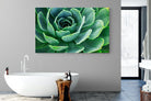 Echeveria Elegans-Wall_Art-180 x 110cm-Mounted Canvas-No Frame-Pixalot