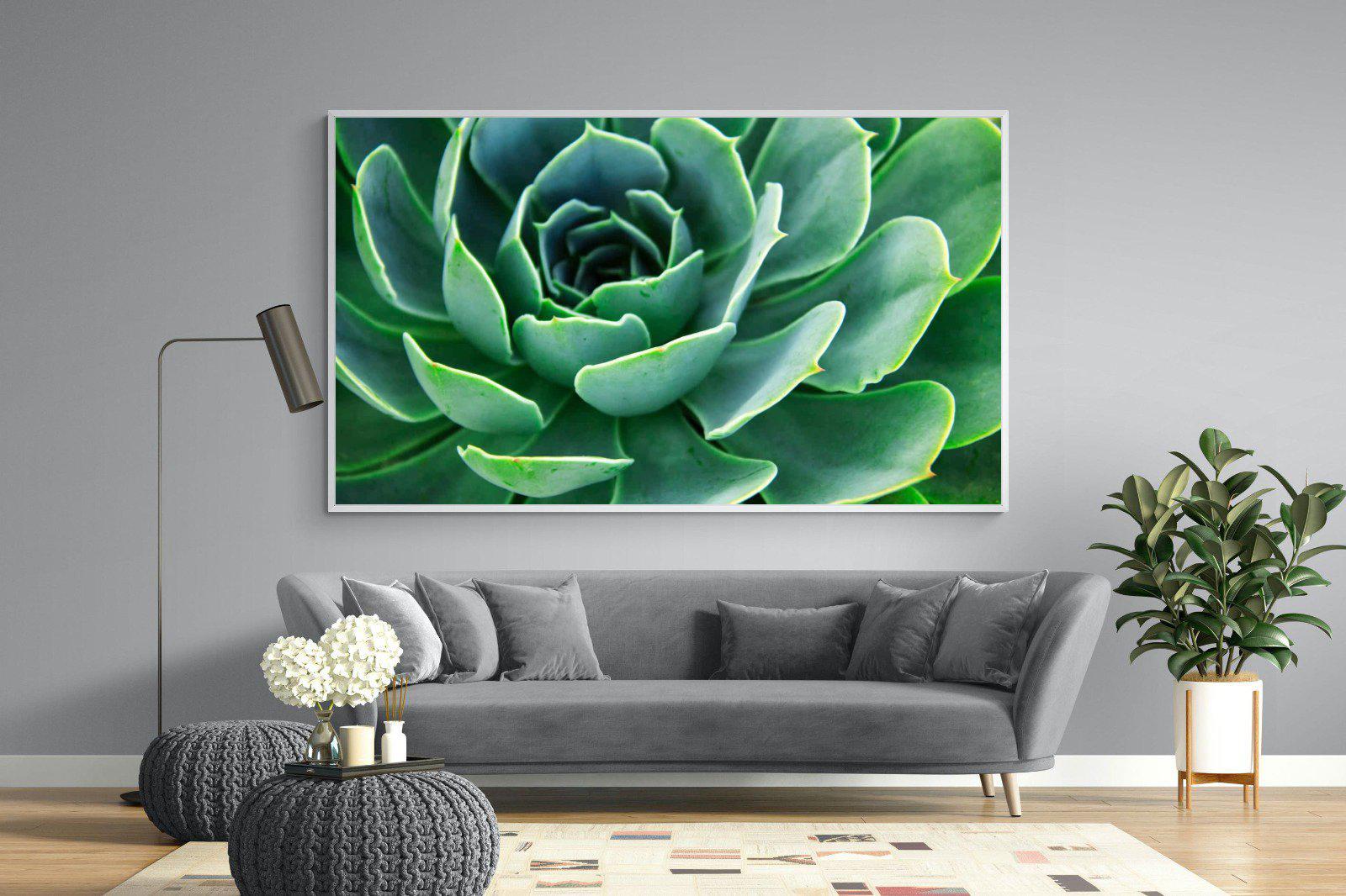 Echeveria Elegans-Wall_Art-220 x 130cm-Mounted Canvas-White-Pixalot