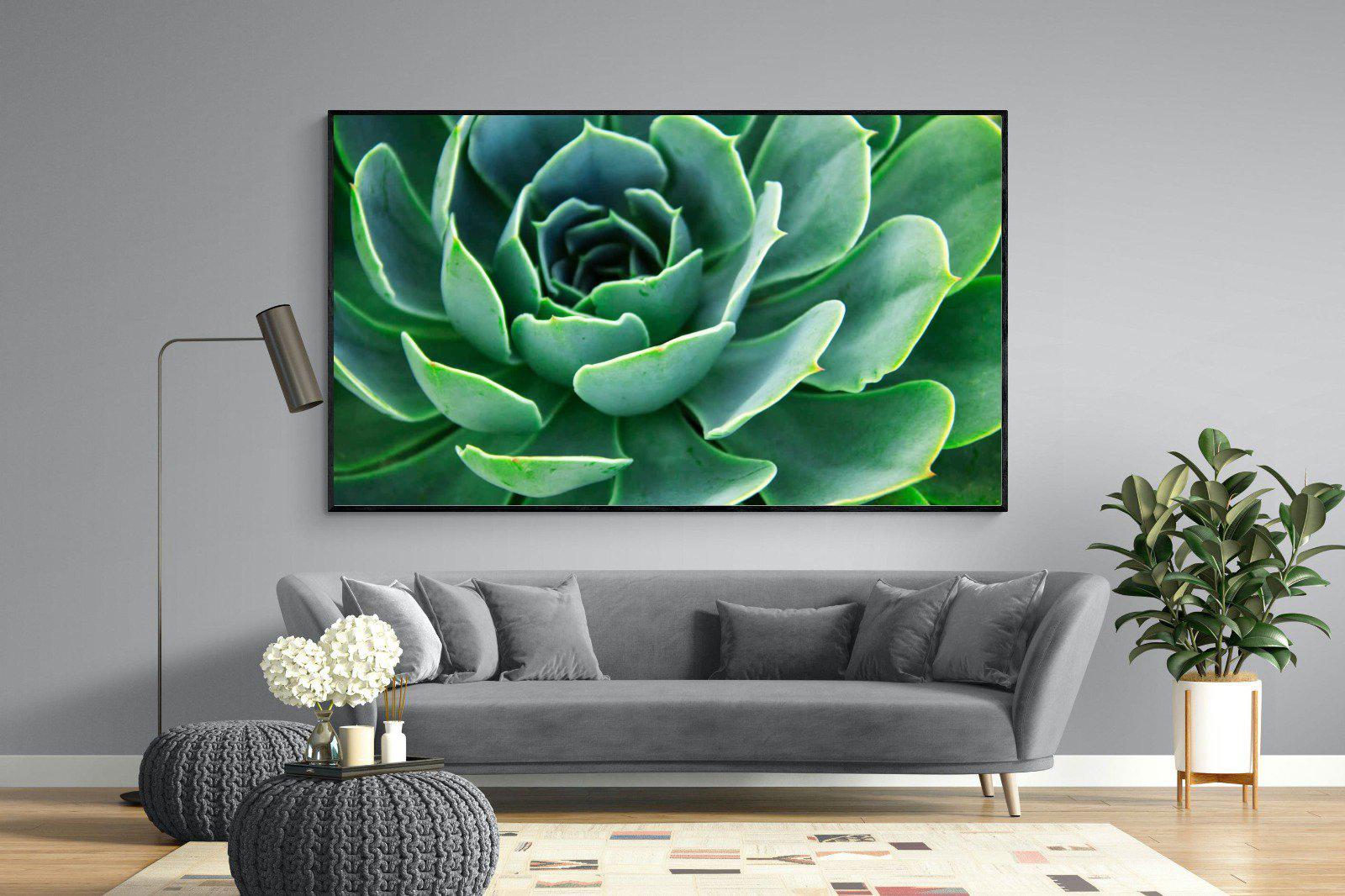 Echeveria Elegans-Wall_Art-220 x 130cm-Mounted Canvas-Black-Pixalot