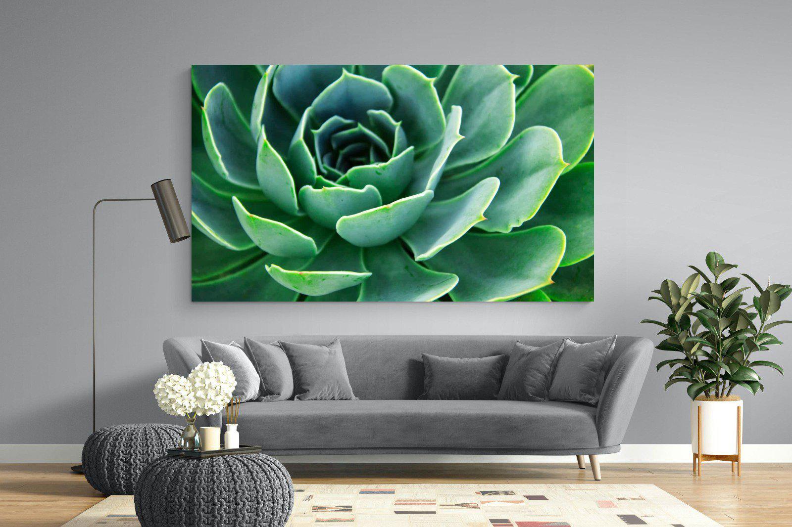 Echeveria Elegans-Wall_Art-220 x 130cm-Mounted Canvas-No Frame-Pixalot