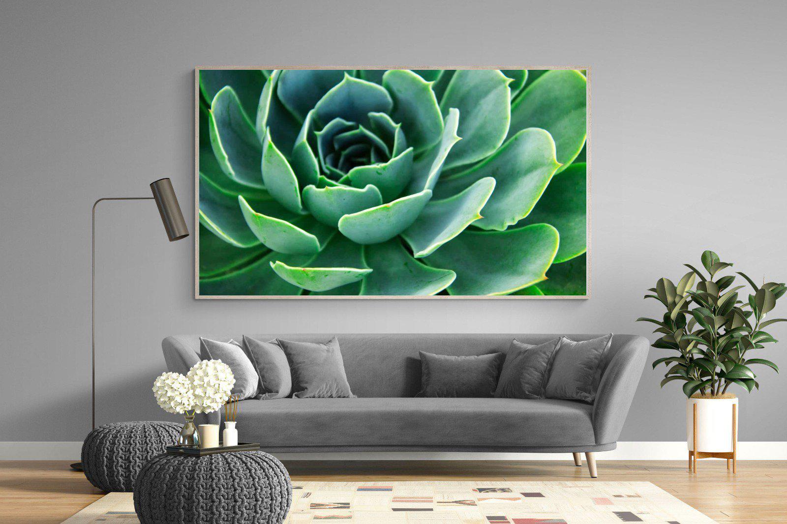 Echeveria Elegans-Wall_Art-220 x 130cm-Mounted Canvas-Wood-Pixalot