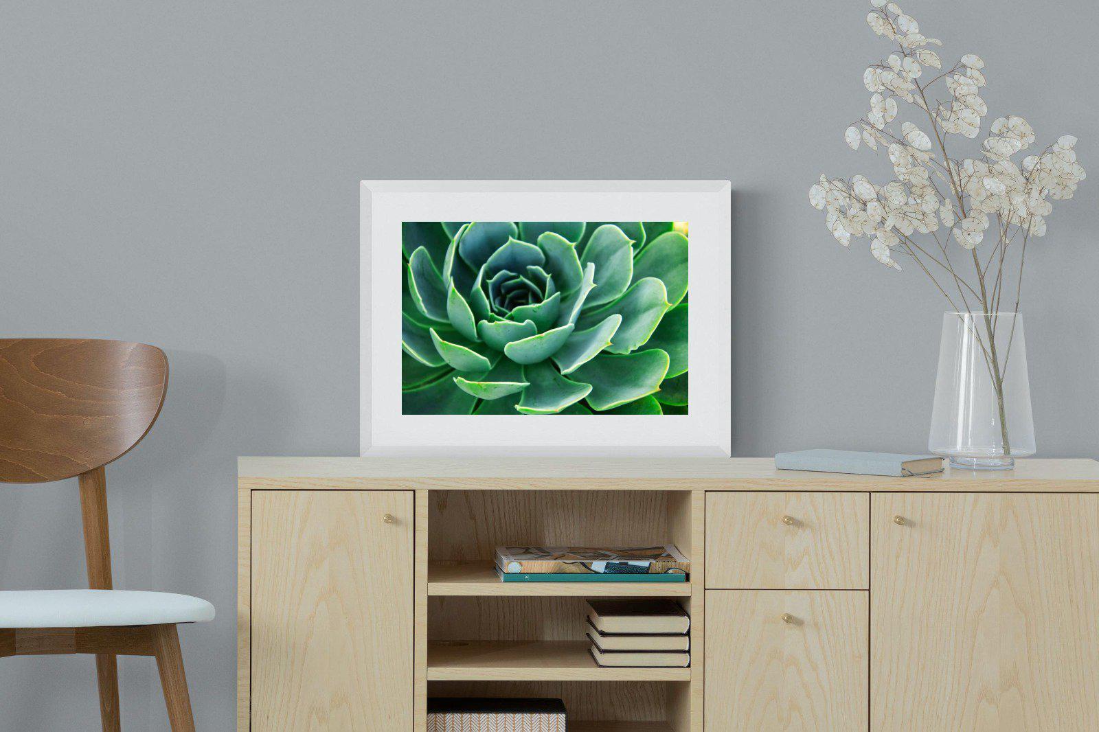 Echeveria Elegans-Wall_Art-60 x 45cm-Framed Print-White-Pixalot