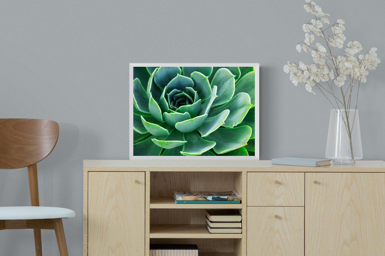 Echeveria Elegans-Wall_Art-60 x 45cm-Mounted Canvas-White-Pixalot