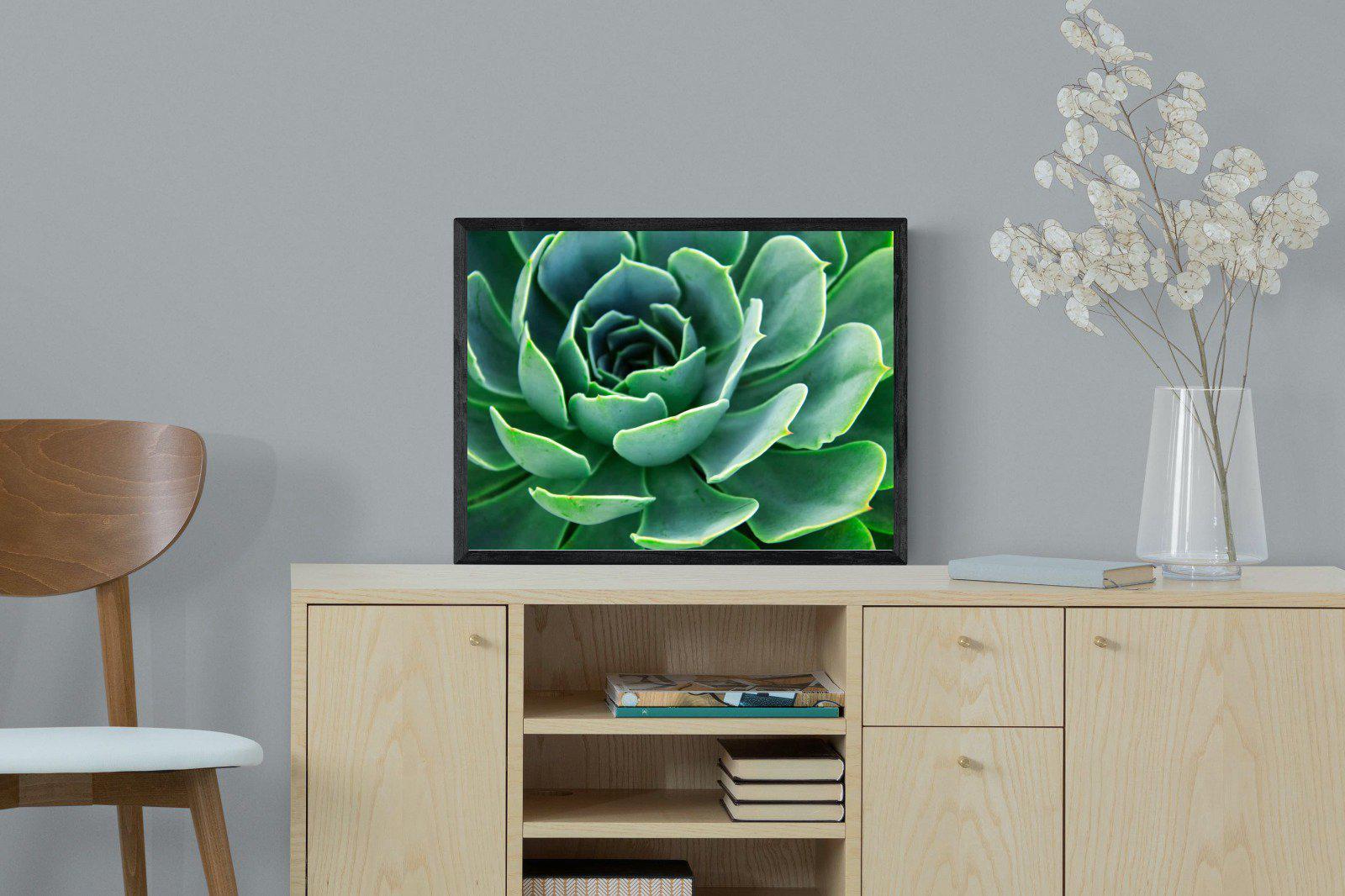 Echeveria Elegans-Wall_Art-60 x 45cm-Mounted Canvas-Black-Pixalot