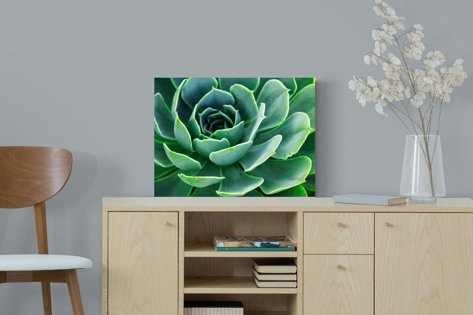 Echeveria Elegans-Wall_Art-60 x 45cm-Mounted Canvas-No Frame-Pixalot