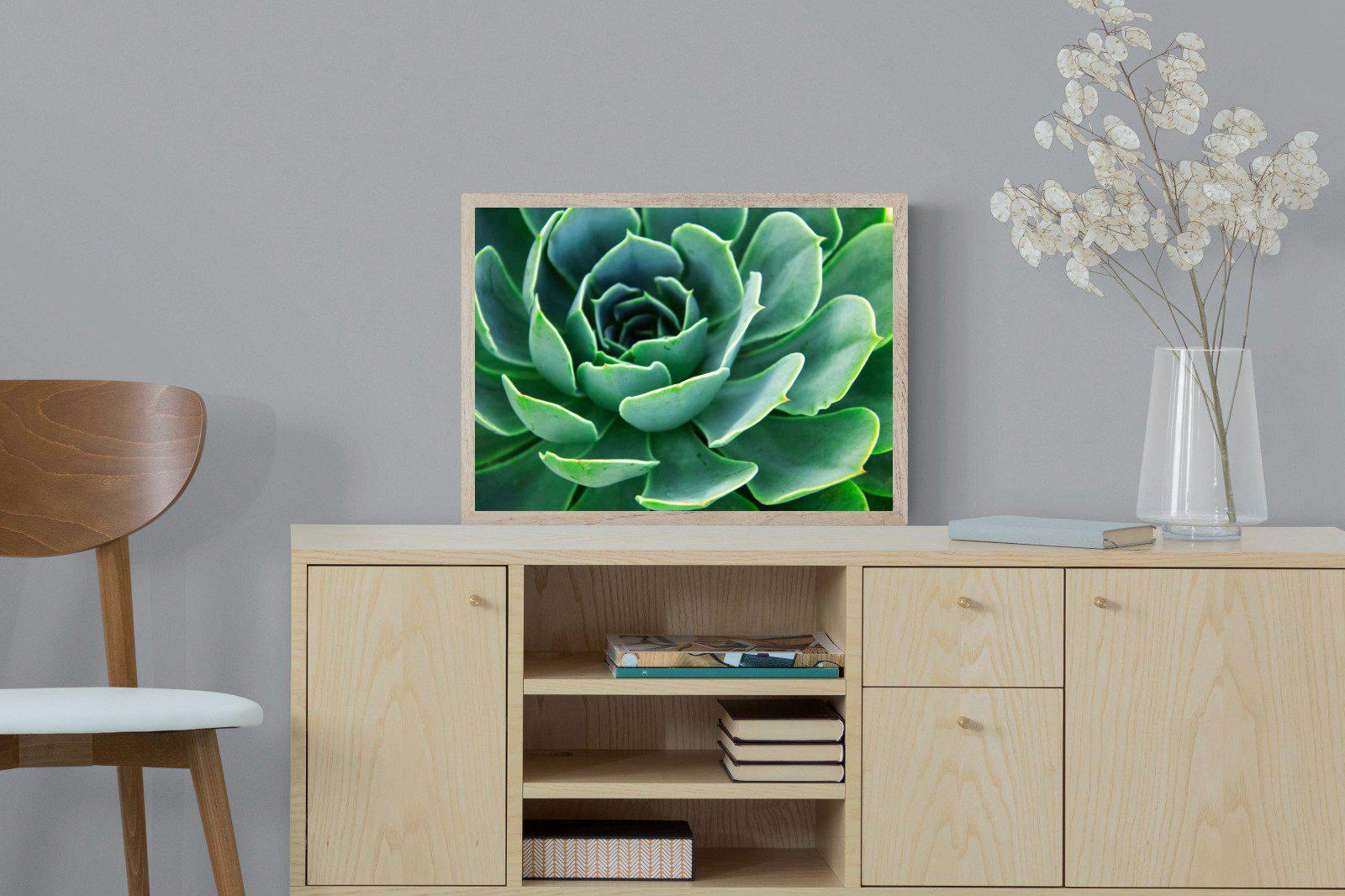 Echeveria Elegans-Wall_Art-60 x 45cm-Mounted Canvas-Wood-Pixalot