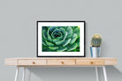 Echeveria Elegans-Wall_Art-80 x 60cm-Framed Print-Black-Pixalot