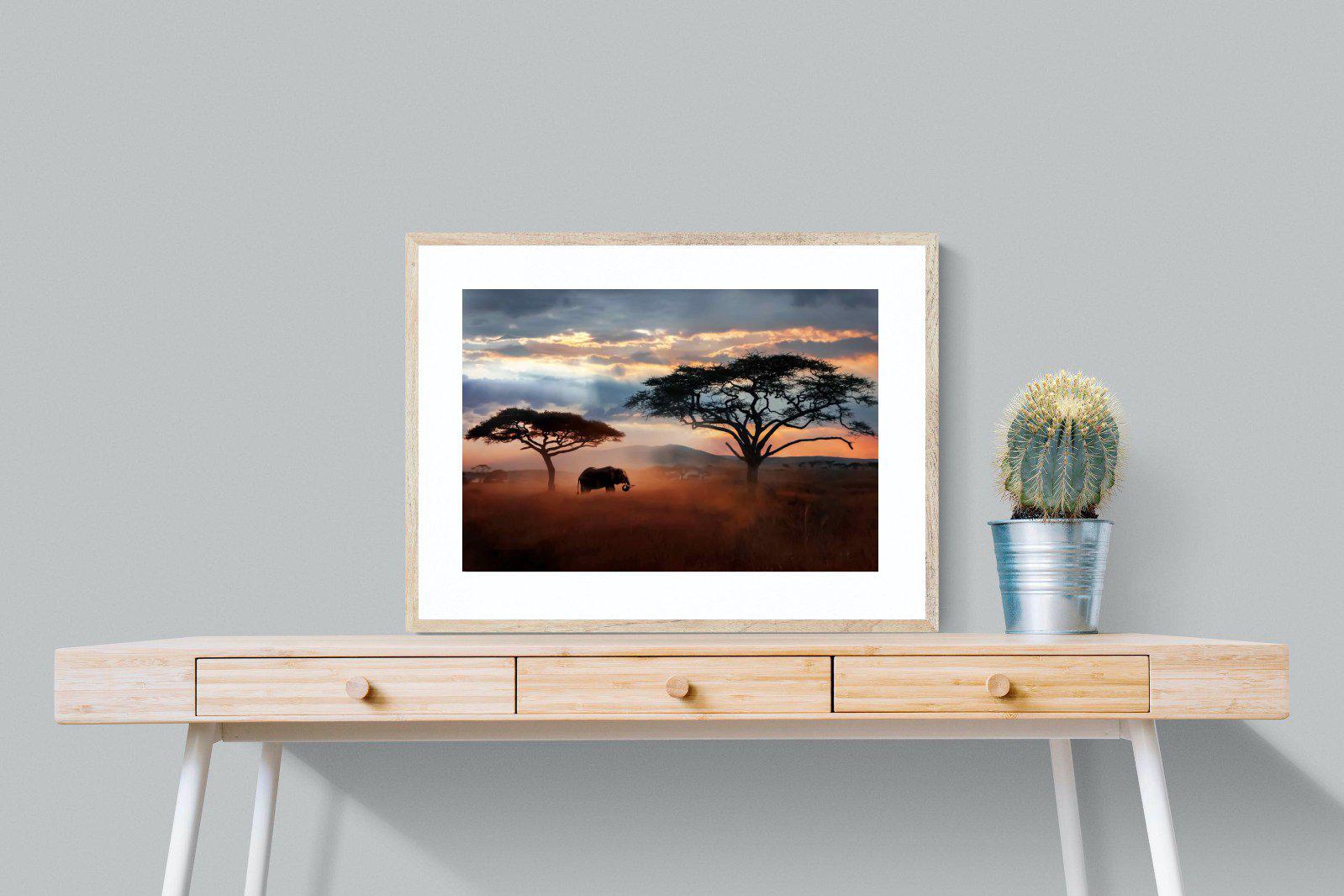 Ele at Dusk-Wall_Art-80 x 60cm-Framed Print-Wood-Pixalot
