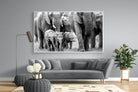 Elephant Family-Wall_Art-220 x 130cm-Mounted Canvas-White-Pixalot