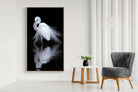 Feathered Reflection-Wall_Art-130 x 220cm-Mounted Canvas-Wood-Pixalot