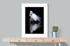 Feathered Reflection-Wall_Art-75 x 100cm-Framed Print-White-Pixalot