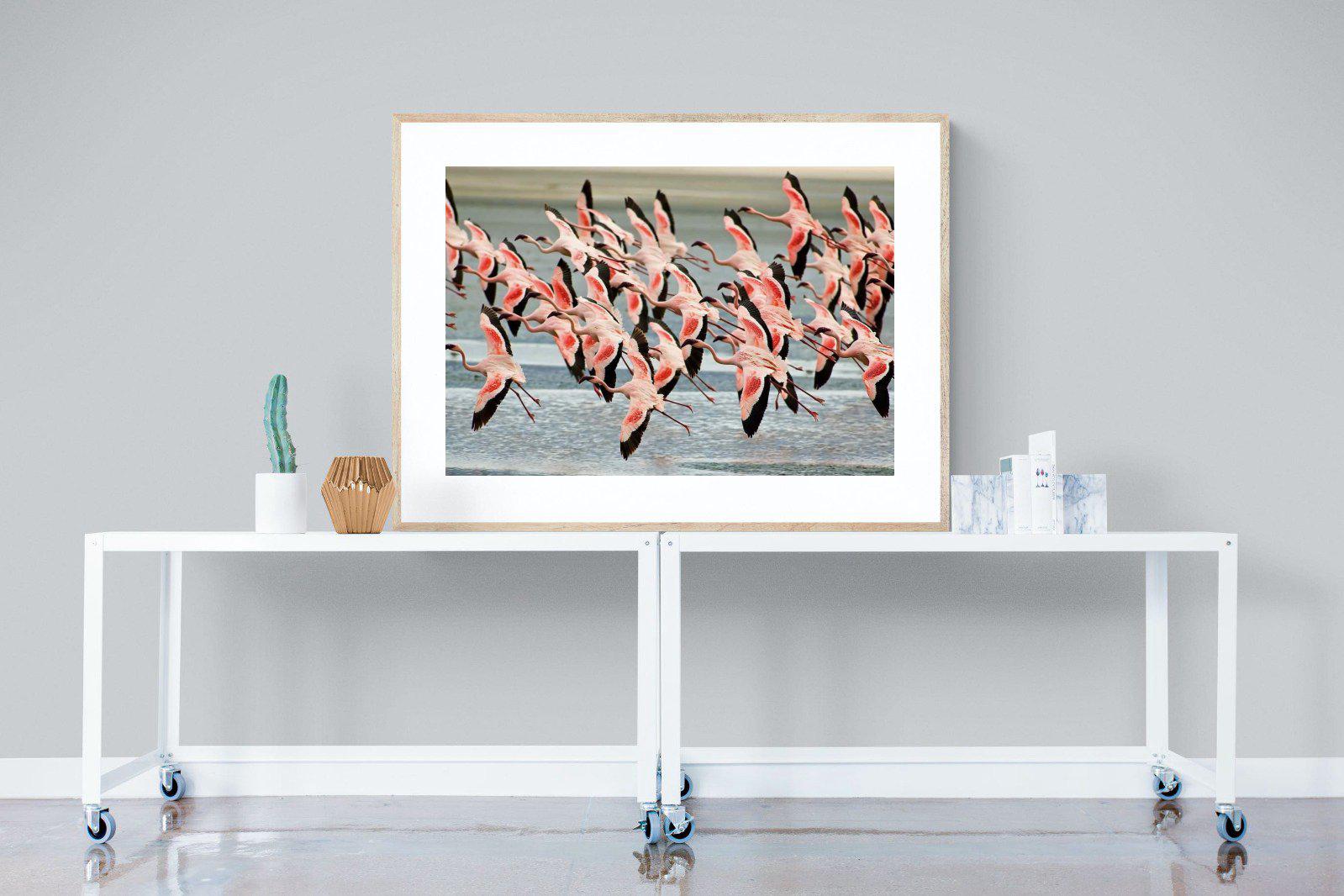 Flamingo Flight-Wall_Art-120 x 90cm-Framed Print-Wood-Pixalot