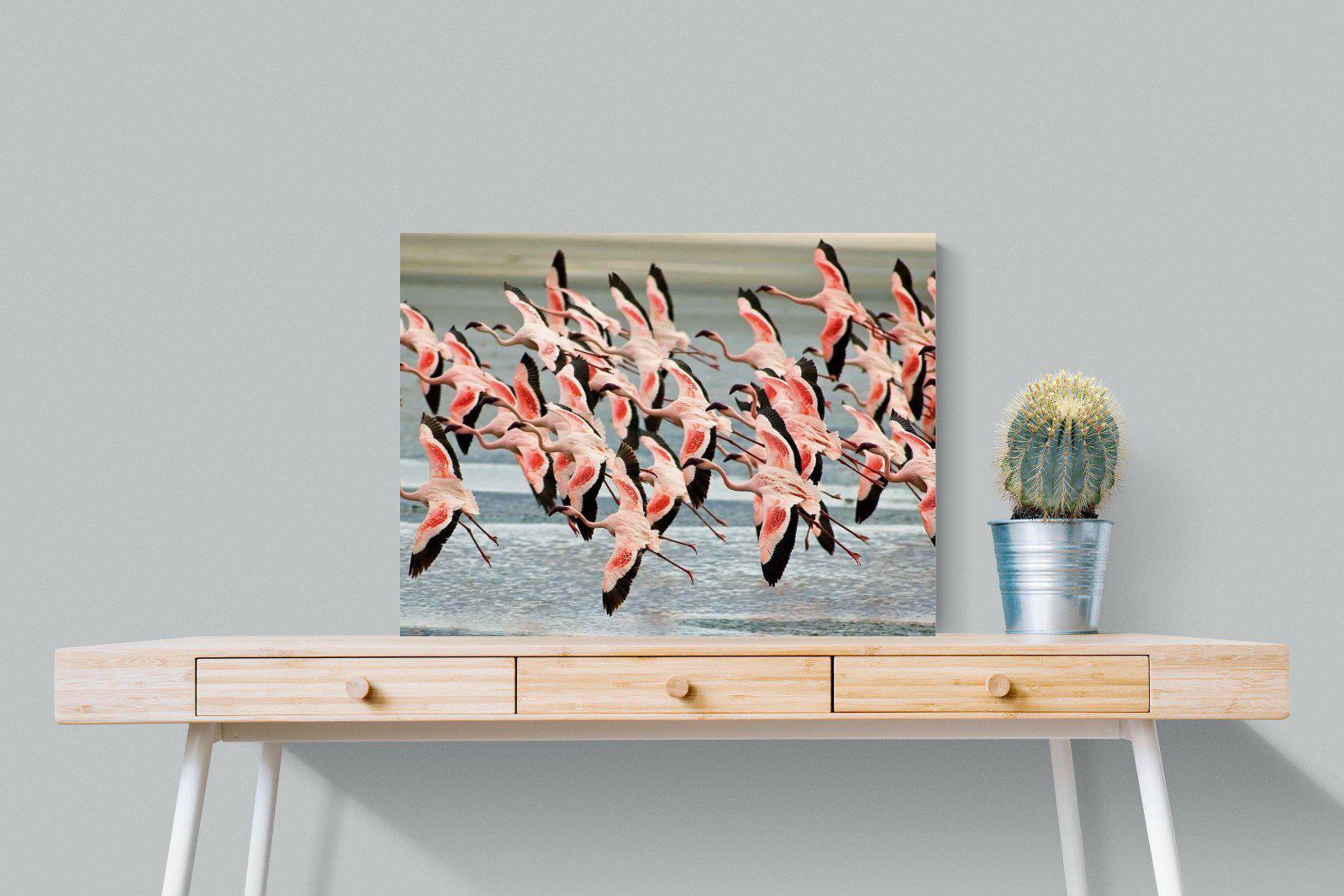 Flamingo Flight-Wall_Art-80 x 60cm-Mounted Canvas-No Frame-Pixalot