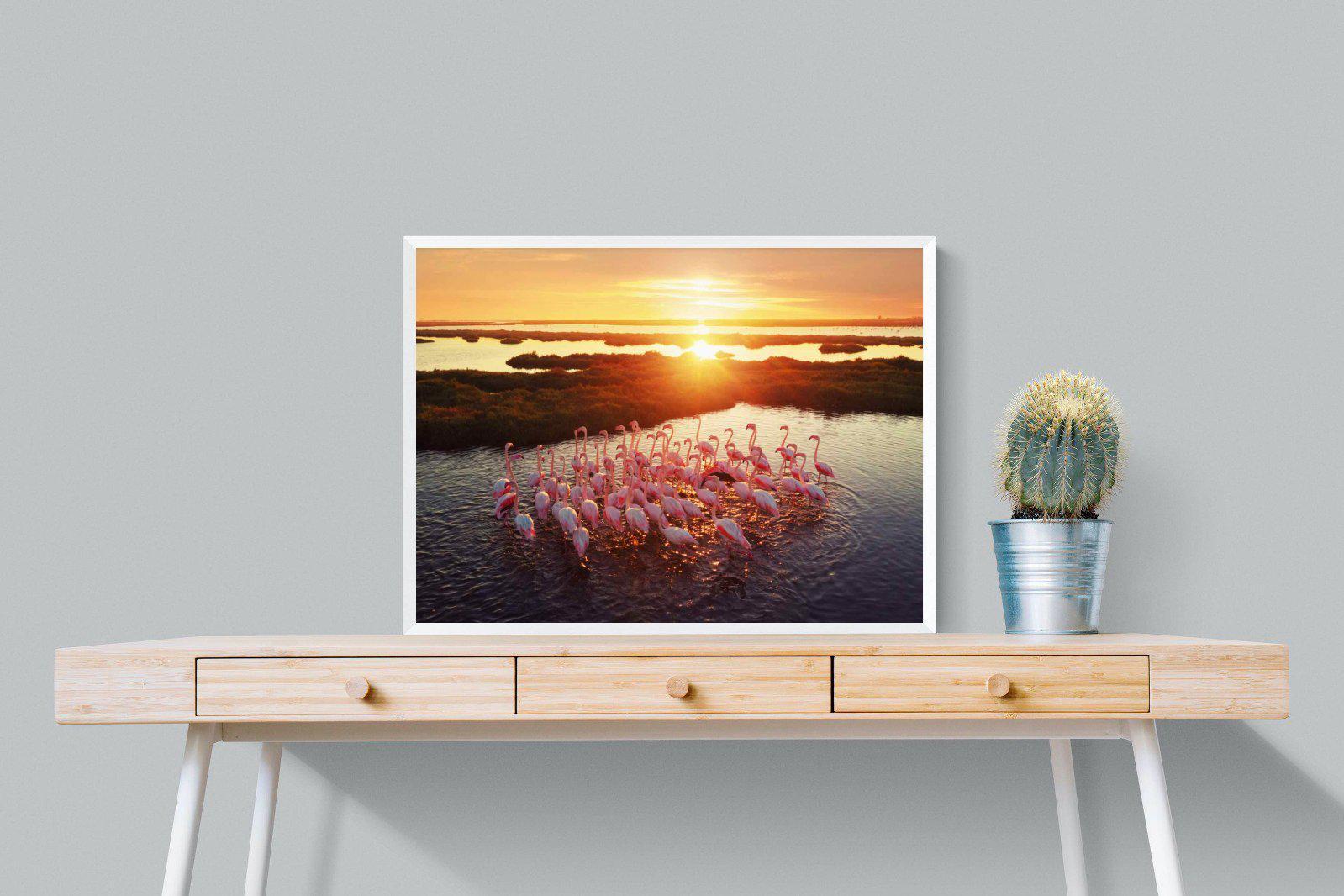 Flamingos-Wall_Art-80 x 60cm-Mounted Canvas-White-Pixalot