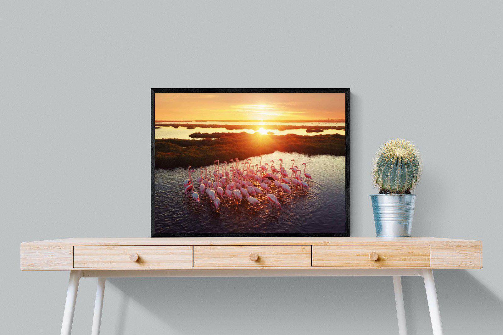 Flamingos-Wall_Art-80 x 60cm-Mounted Canvas-Black-Pixalot