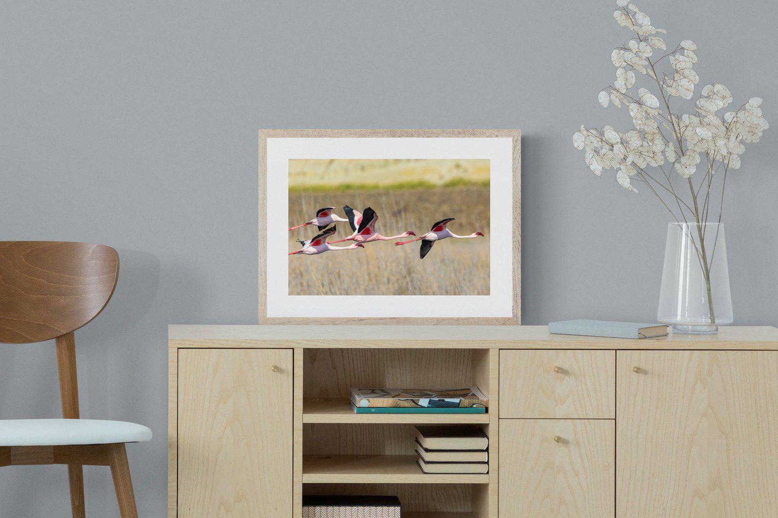 Flying Flamingos-Wall_Art-60 x 45cm-Framed Print-Wood-Pixalot