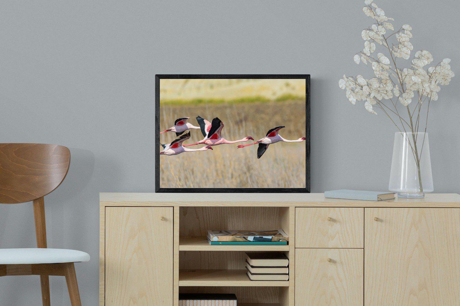 Flying Flamingos-Wall_Art-60 x 45cm-Mounted Canvas-Black-Pixalot
