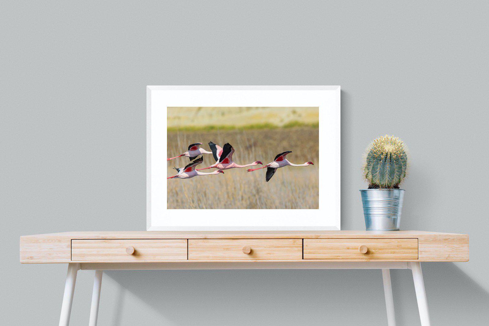 Flying Flamingos-Wall_Art-80 x 60cm-Framed Print-White-Pixalot