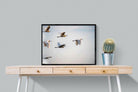 Flying V-Wall_Art-80 x 60cm-Mounted Canvas-Black-Pixalot