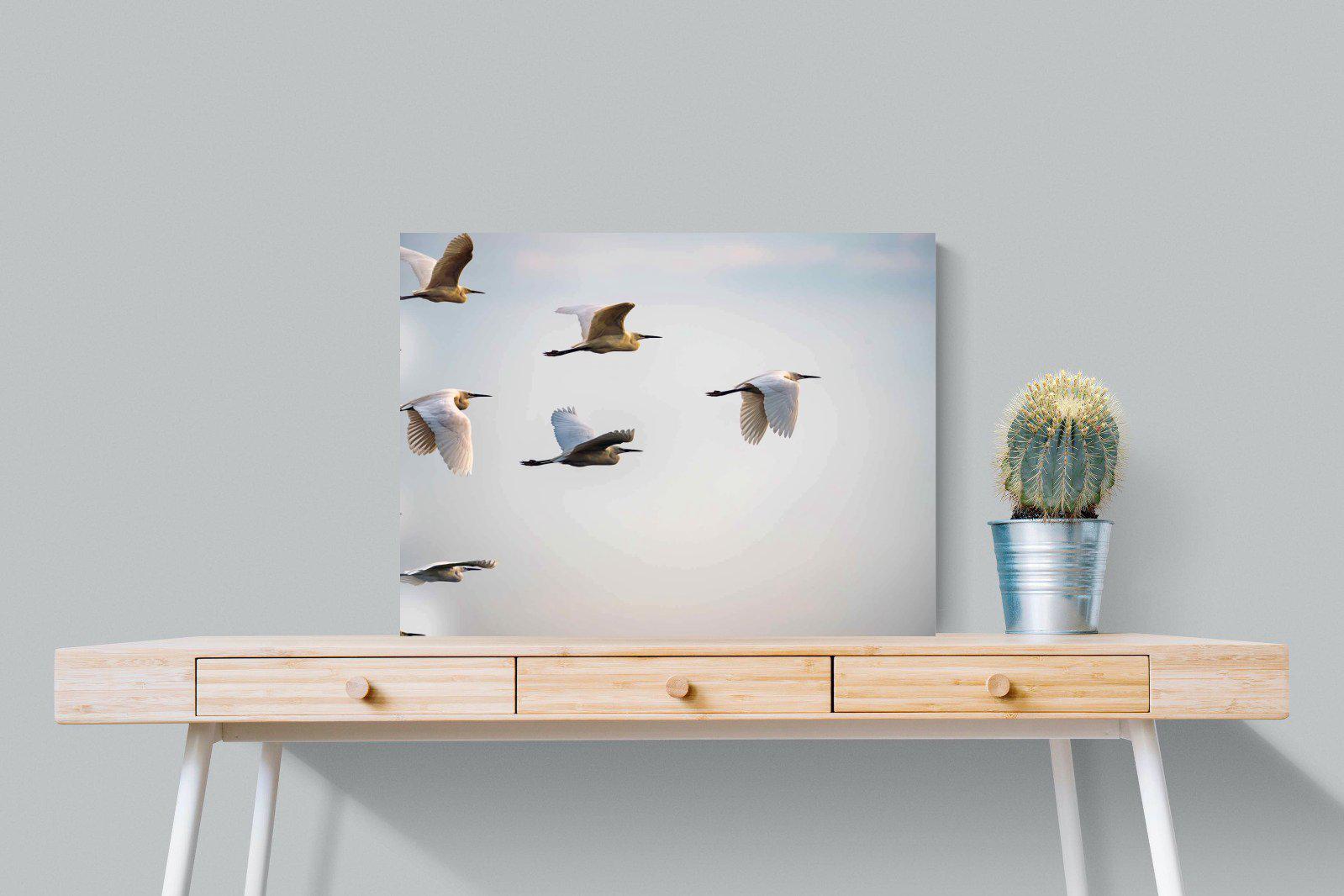 Flying V-Wall_Art-80 x 60cm-Mounted Canvas-No Frame-Pixalot