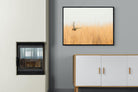 Focused-Wall_Art-100 x 75cm-Mounted Canvas-Black-Pixalot