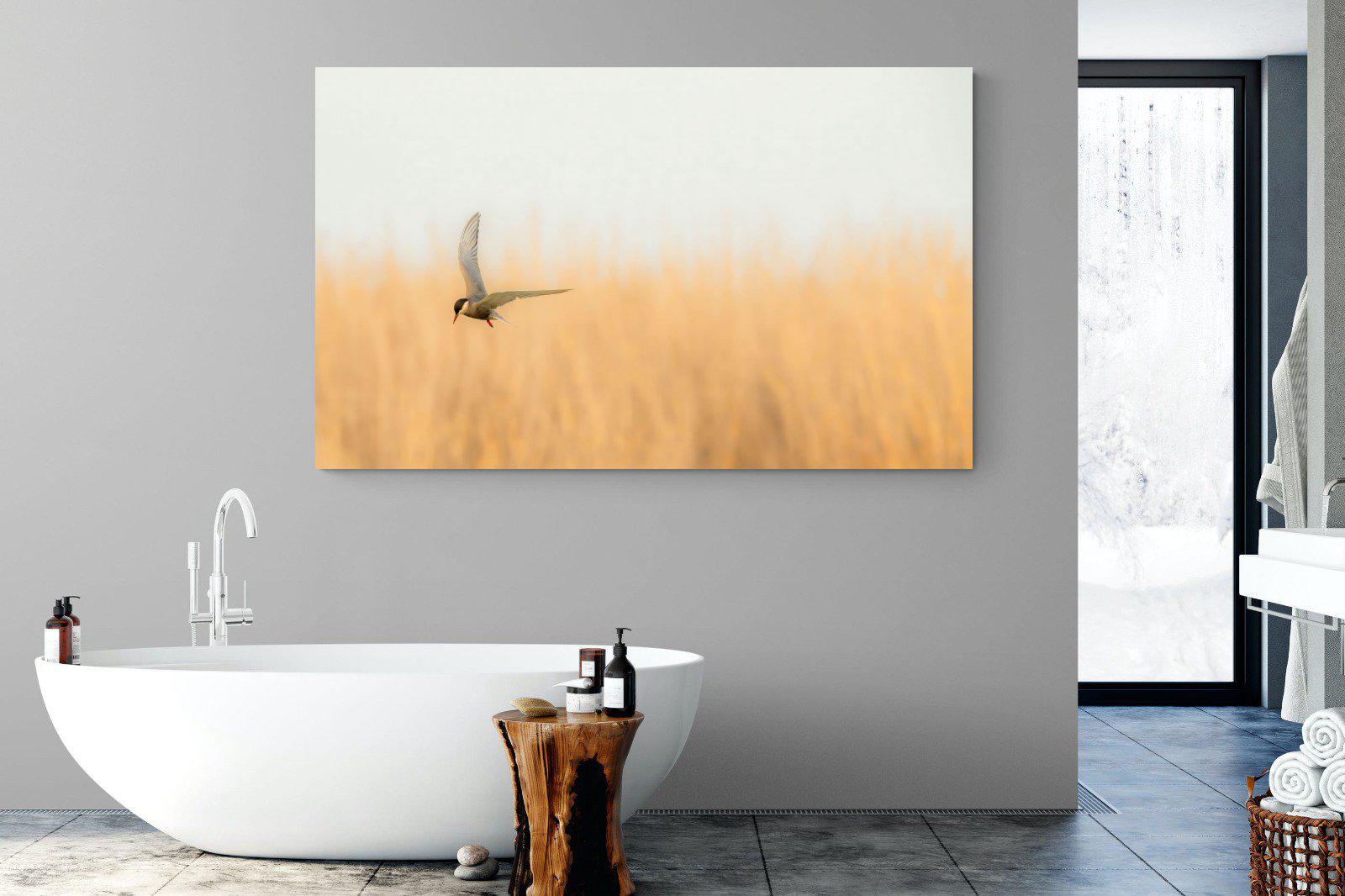 Focused-Wall_Art-180 x 110cm-Mounted Canvas-No Frame-Pixalot