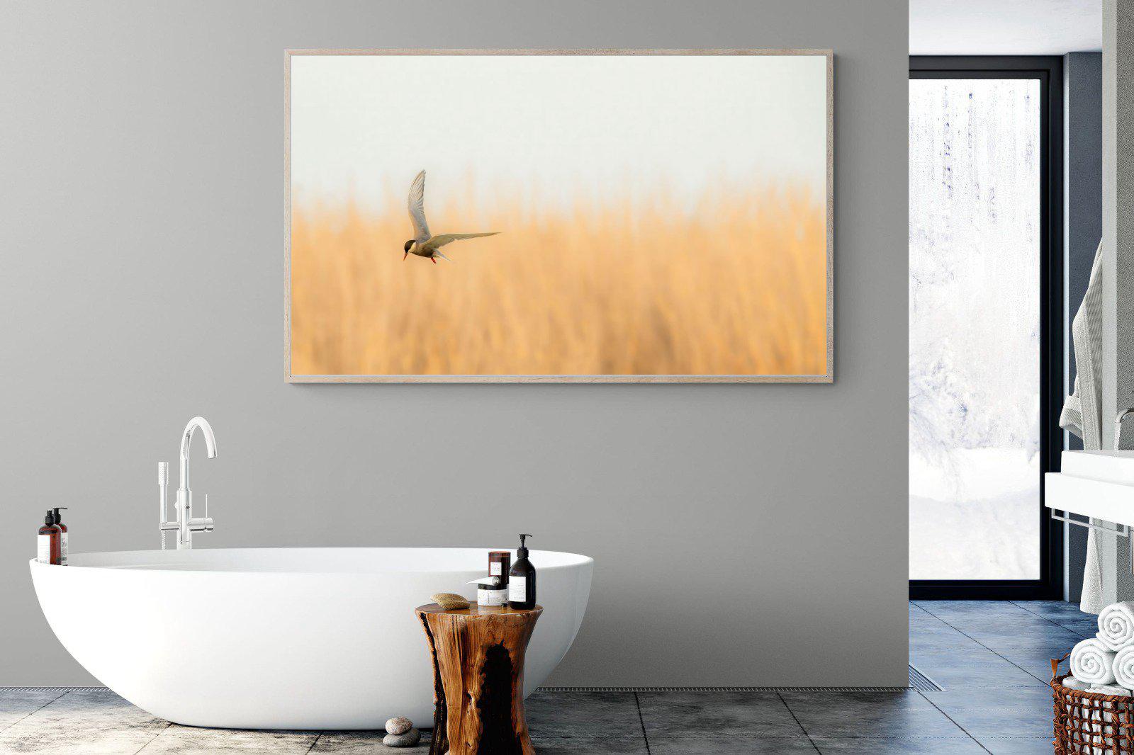 Focused-Wall_Art-180 x 110cm-Mounted Canvas-Wood-Pixalot