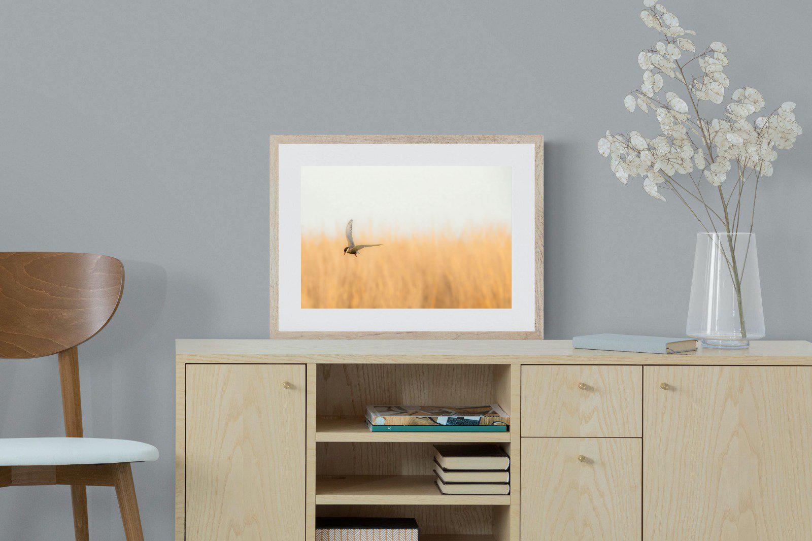 Focused-Wall_Art-60 x 45cm-Framed Print-Wood-Pixalot