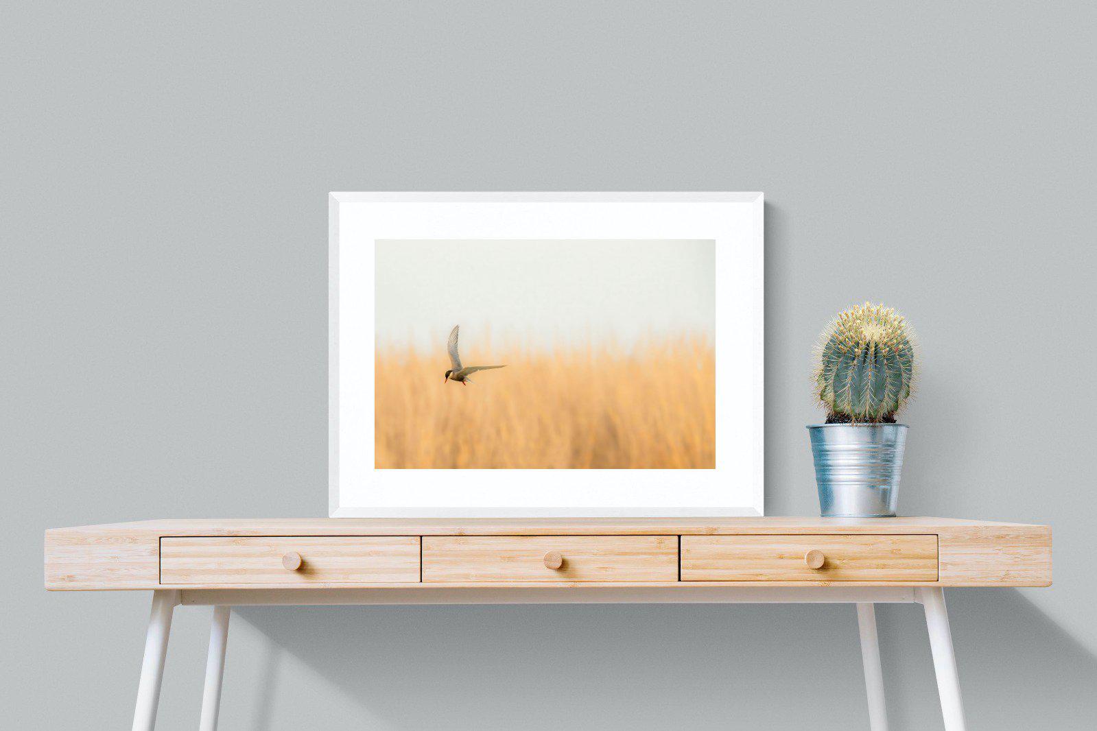 Focused-Wall_Art-80 x 60cm-Framed Print-White-Pixalot