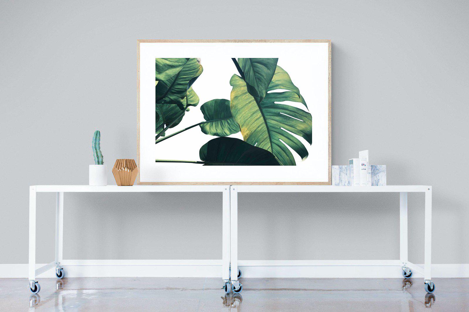 Frond & Light-Wall_Art-120 x 90cm-Framed Print-Wood-Pixalot