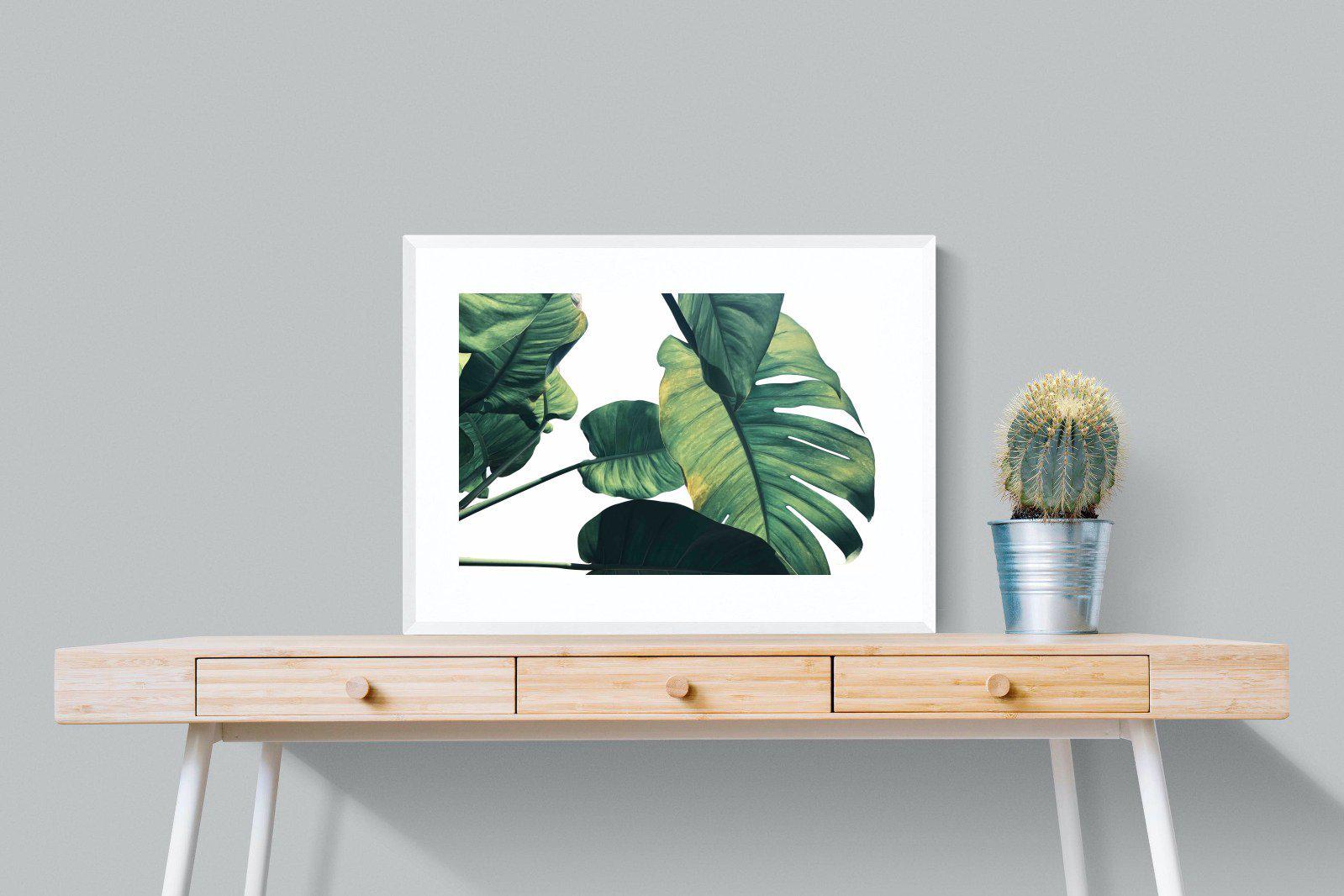 Frond & Light-Wall_Art-80 x 60cm-Framed Print-White-Pixalot