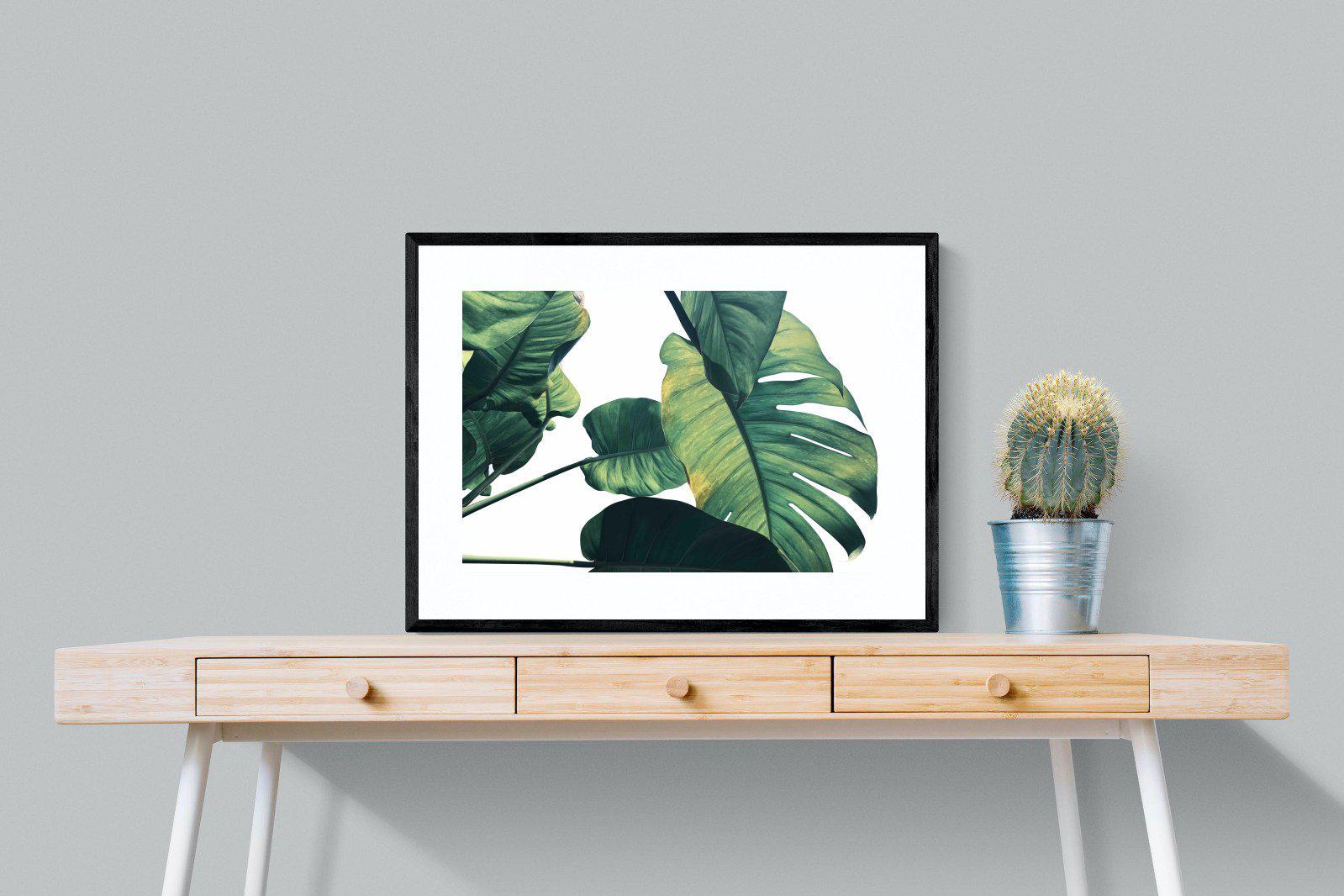 Frond & Light-Wall_Art-80 x 60cm-Framed Print-Black-Pixalot