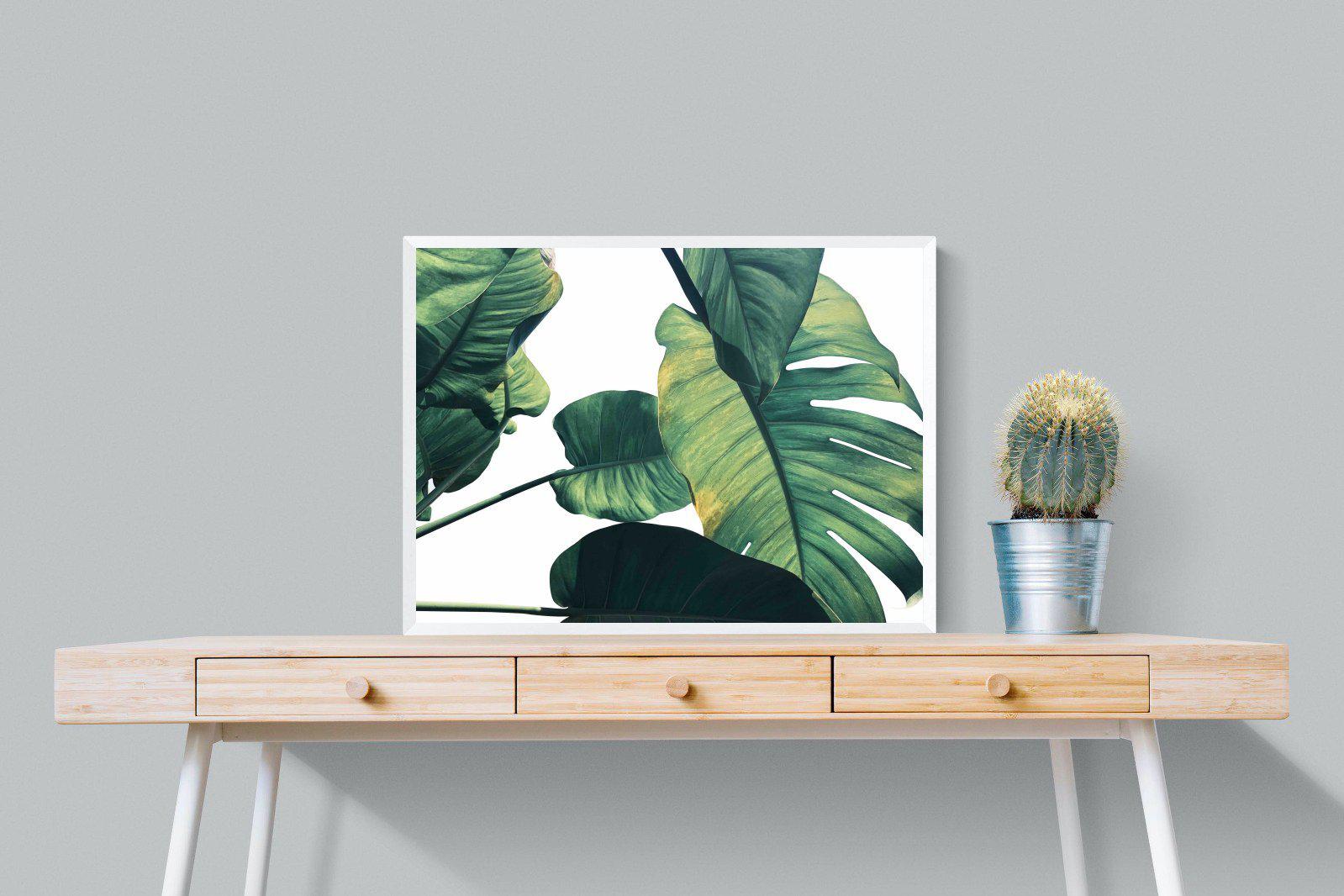 Frond & Light-Wall_Art-80 x 60cm-Mounted Canvas-White-Pixalot