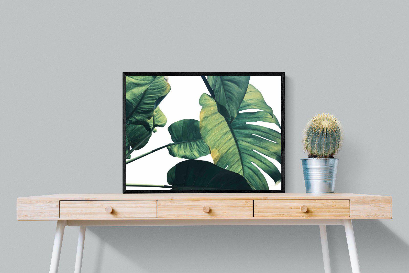 Frond & Light-Wall_Art-80 x 60cm-Mounted Canvas-Black-Pixalot