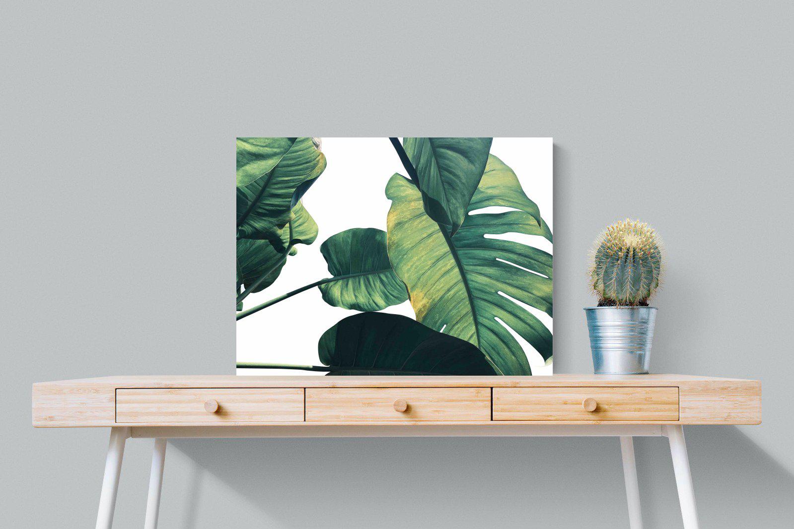 Frond & Light-Wall_Art-80 x 60cm-Mounted Canvas-No Frame-Pixalot