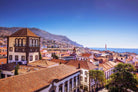 Funchal-Wall_Art-Pixalot
