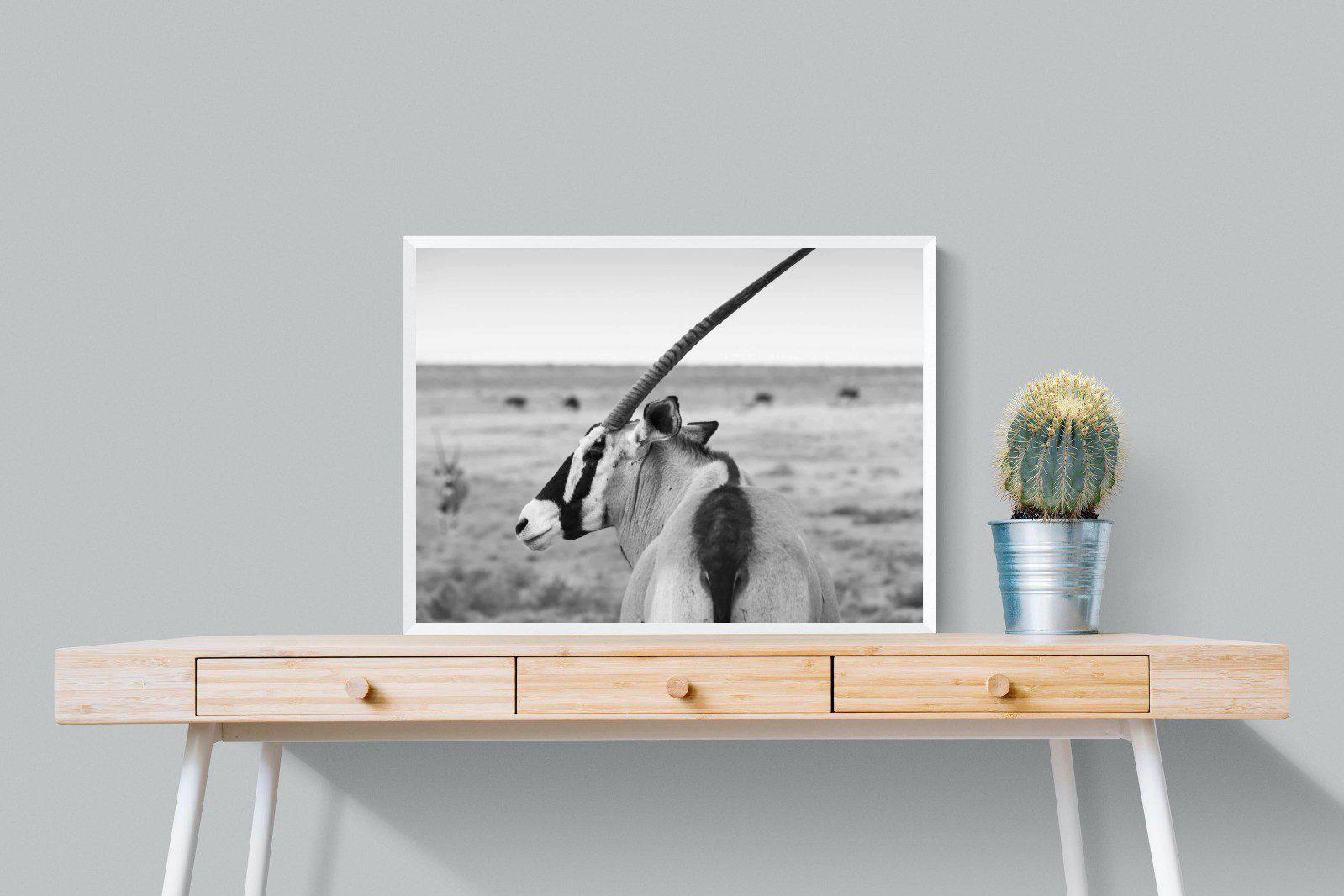 Gemsbok-Wall_Art-80 x 60cm-Mounted Canvas-White-Pixalot