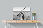 Gemsbok-Wall_Art-80 x 60cm-Mounted Canvas-No Frame-Pixalot