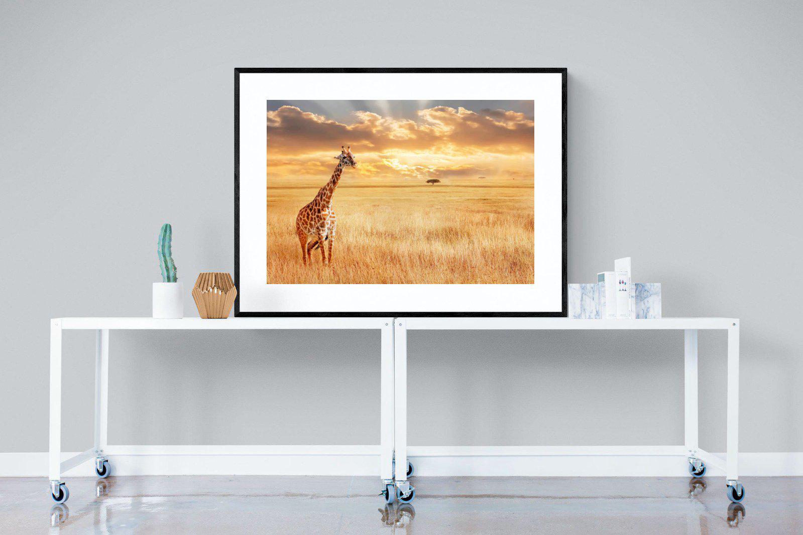 Giraffe Sunset-Wall_Art-120 x 90cm-Framed Print-Black-Pixalot
