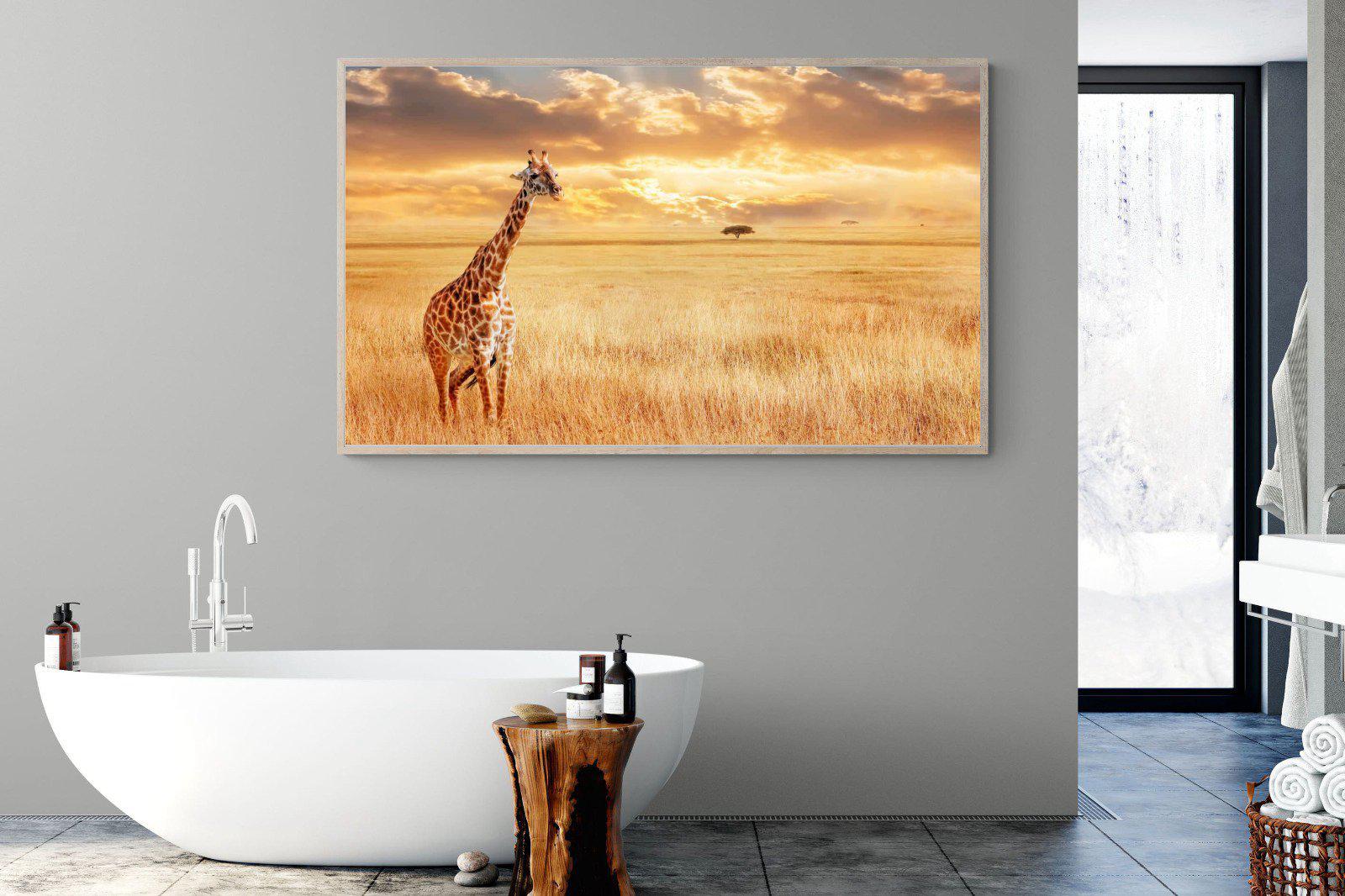 Giraffe Sunset-Wall_Art-180 x 110cm-Mounted Canvas-Wood-Pixalot