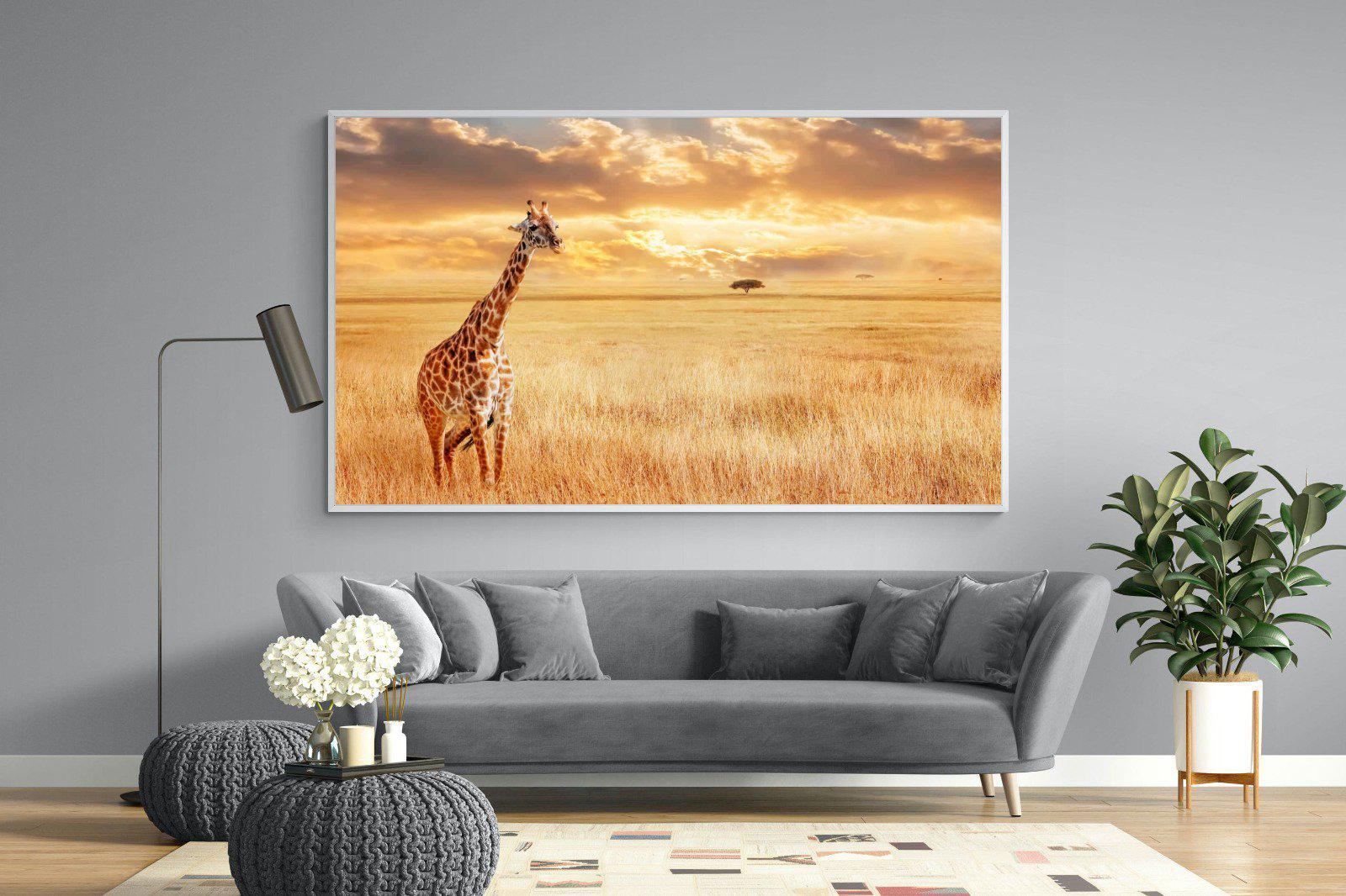 Giraffe Sunset-Wall_Art-220 x 130cm-Mounted Canvas-White-Pixalot
