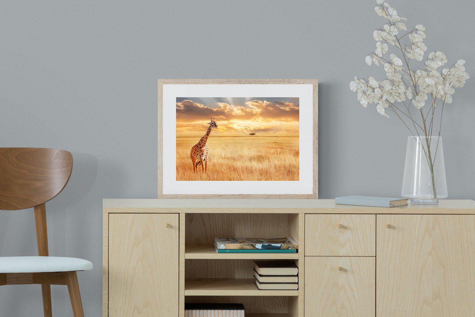 Giraffe Sunset-Wall_Art-60 x 45cm-Framed Print-Wood-Pixalot