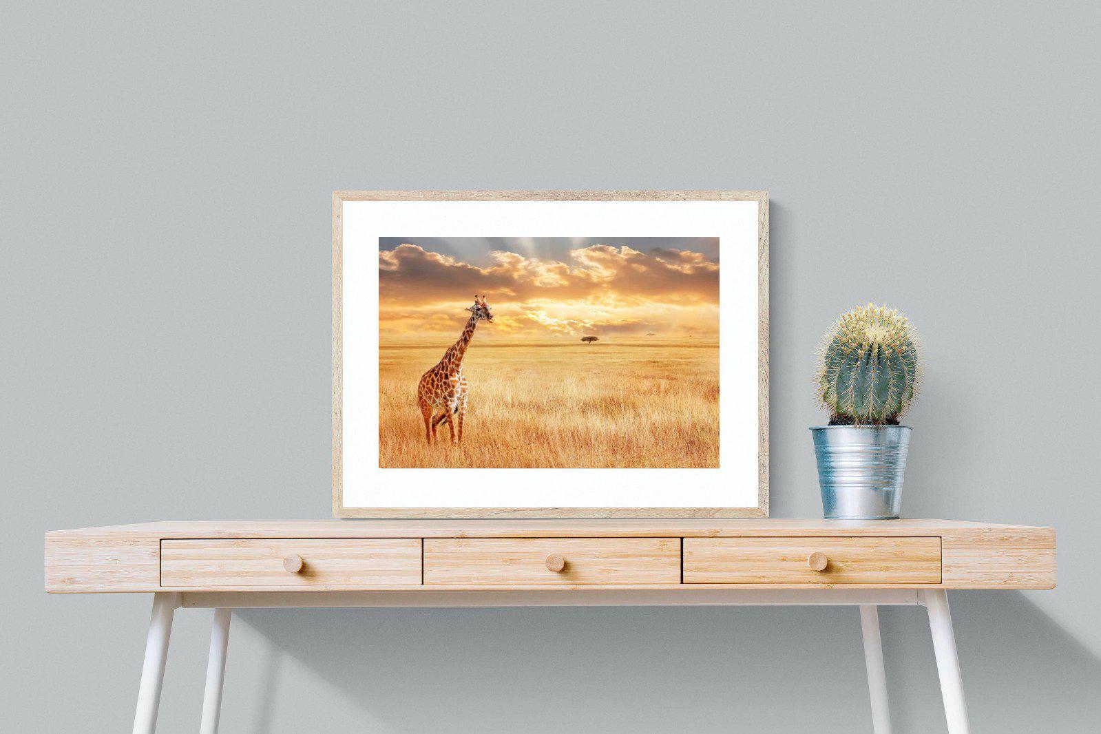 Giraffe Sunset-Wall_Art-80 x 60cm-Framed Print-Wood-Pixalot