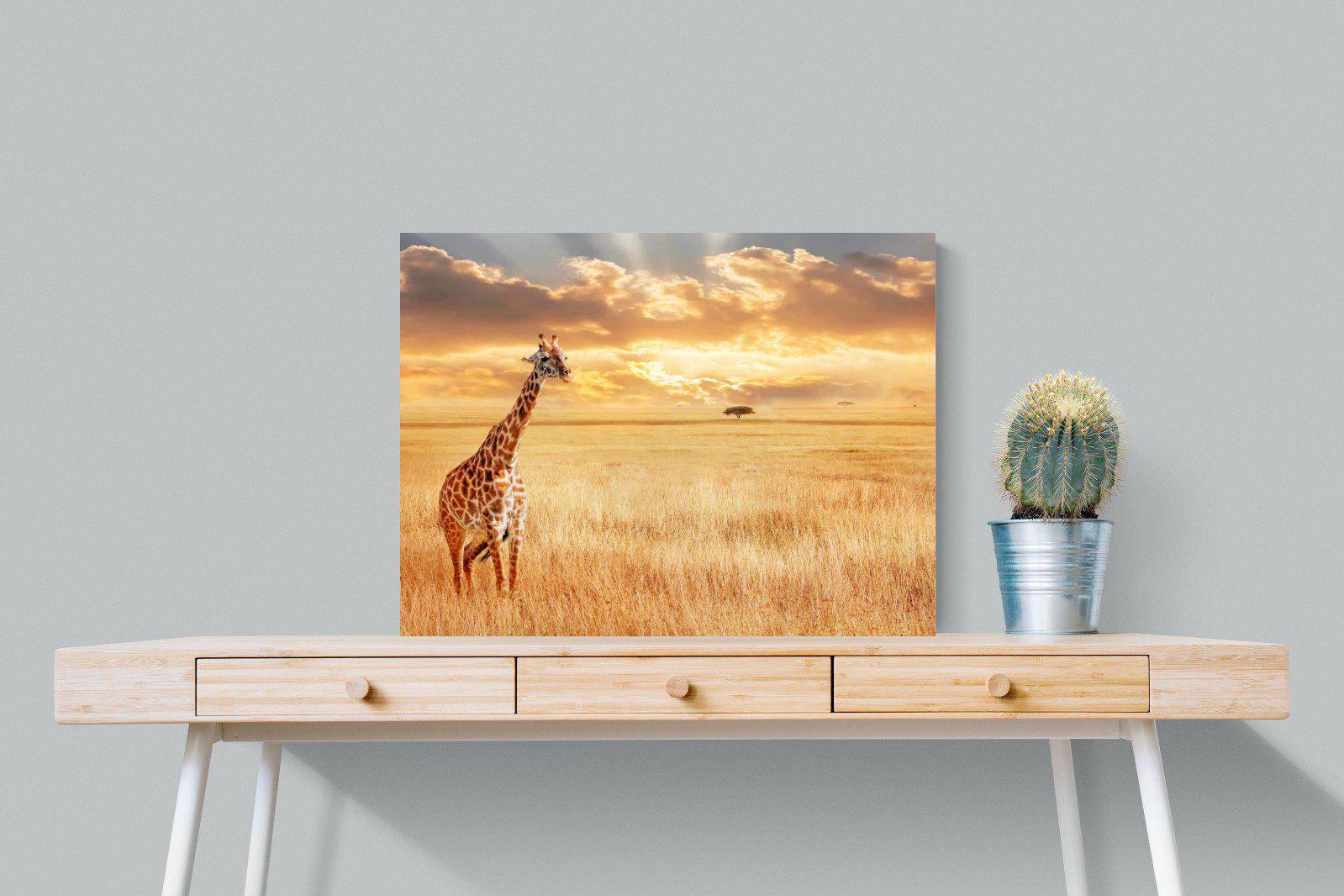 Giraffe Sunset-Wall_Art-80 x 60cm-Mounted Canvas-No Frame-Pixalot