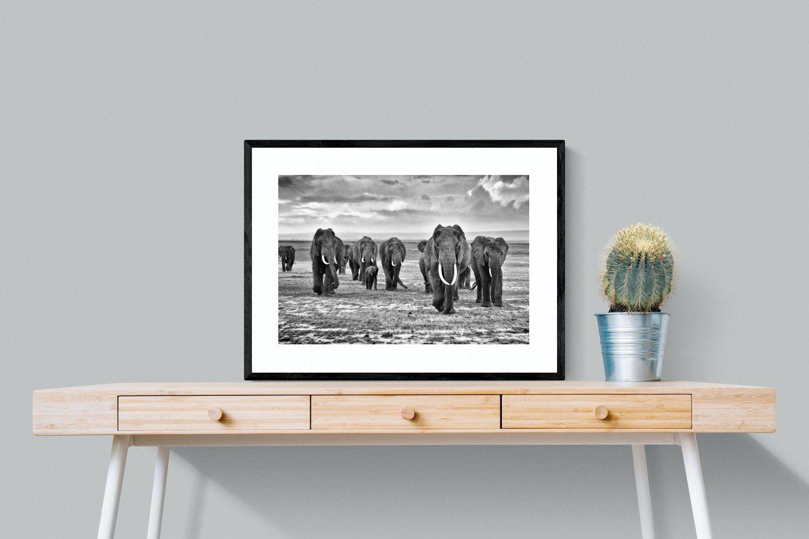 Great Tuskers-Wall_Art-80 x 60cm-Framed Print-Black-Pixalot