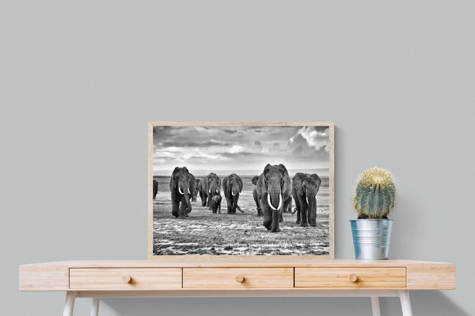 Great Tuskers-Wall_Art-80 x 60cm-Mounted Canvas-Wood-Pixalot
